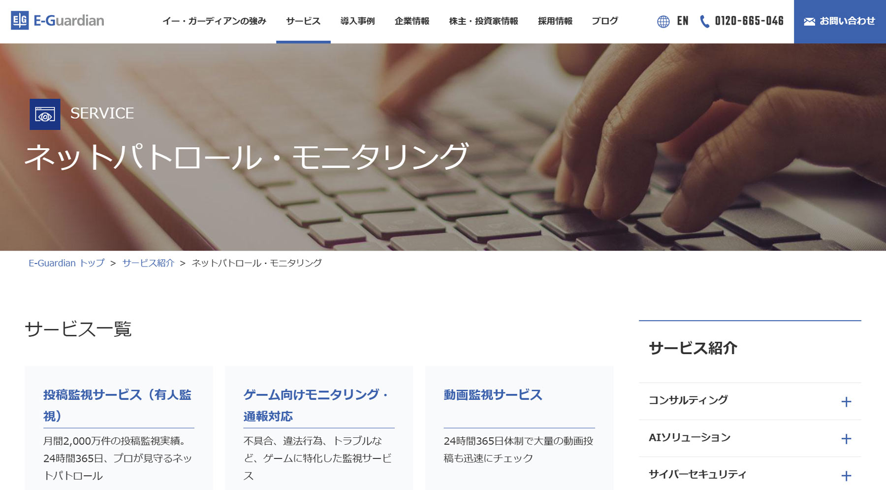 ネットパトロール・モニタリング公式Webサイト