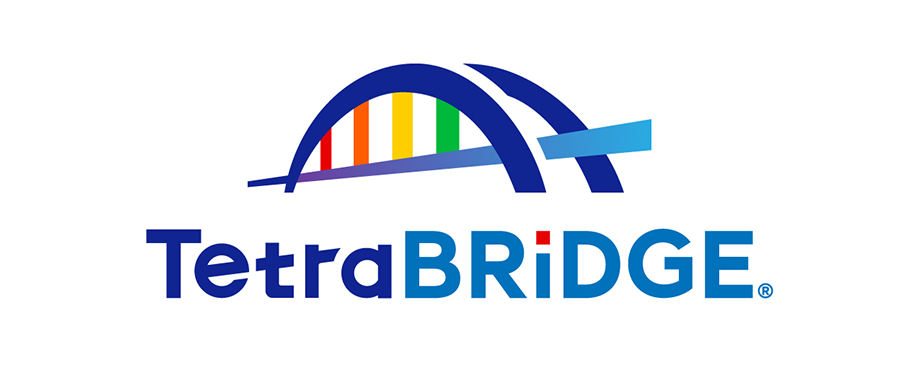 TetraBRiDGE